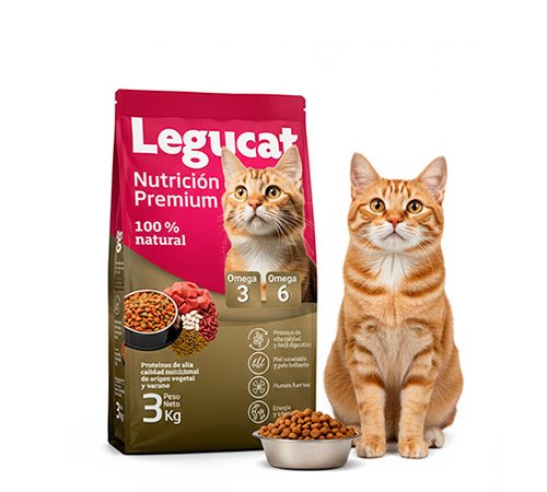 Legucat