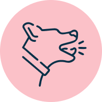 Defensas naturalmente  más fuertes