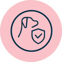 Potencia la longevidad